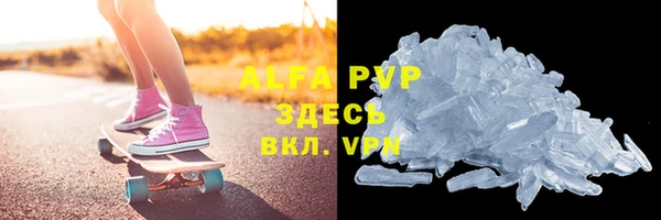 стаф Алексин