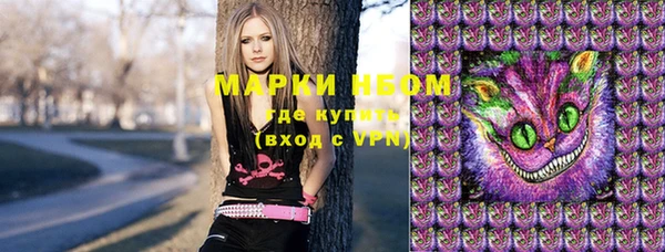 стаф Алексин
