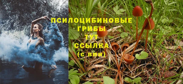 спайс Алзамай