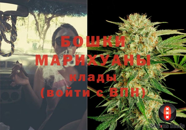 спайс Алзамай