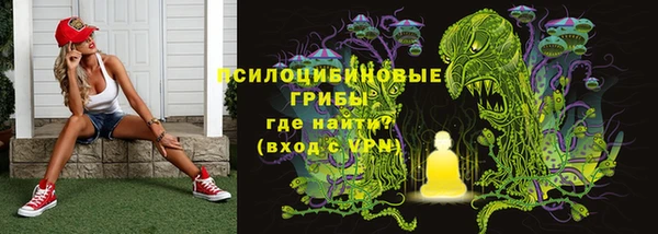 спайс Алзамай