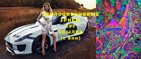 стаф Алексин