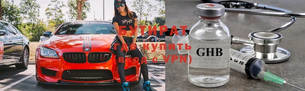 стаф Алексин